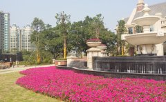 云浮基层售楼部项目